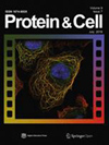 Protein & Cell雜志封面